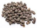 Jamun Seed Manufacturer Supplier Wholesale Exporter Importer Buyer Trader Retailer