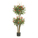 Rose Tree Manufacturer Supplier Wholesale Exporter Importer Buyer Trader Retailer