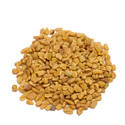 Herb seeds Manufacturer Supplier Wholesale Exporter Importer Buyer Trader Retailer