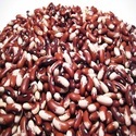 Bean Seeds Manufacturer Supplier Wholesale Exporter Importer Buyer Trader Retailer