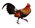 Fowl Manufacturer Supplier Wholesale Exporter Importer Buyer Trader Retailer