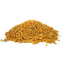 Yellow Mustard Seed Manufacturer Supplier Wholesale Exporter Importer Buyer Trader Retailer