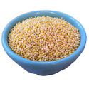 Millet Seed Manufacturer Supplier Wholesale Exporter Importer Buyer Trader Retailer