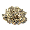 Sunflower Seeds Manufacturer Supplier Wholesale Exporter Importer Buyer Trader Retailer