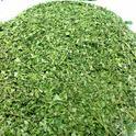 Moringa Dried Leaves Manufacturer Supplier Wholesale Exporter Importer Buyer Trader Retailer