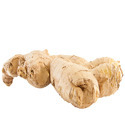 Ginger Seeds Manufacturer Supplier Wholesale Exporter Importer Buyer Trader Retailer