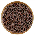 Mustard Seeds Manufacturer Supplier Wholesale Exporter Importer Buyer Trader Retailer