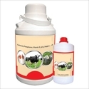 Cattle Digestive Tonic Manufacturer Supplier Wholesale Exporter Importer Buyer Trader Retailer