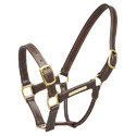 Leather Halters Manufacturer Supplier Wholesale Exporter Importer Buyer Trader Retailer