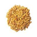 Hybrid Brinjal Seed Manufacturer Supplier Wholesale Exporter Importer Buyer Trader Retailer