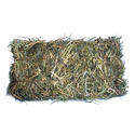 Buffalo Feed Manufacturer Supplier Wholesale Exporter Importer Buyer Trader Retailer