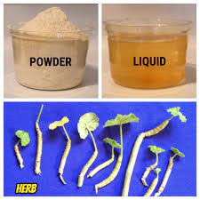 Ayurvedic Urea Manufacturer Supplier Wholesale Exporter Importer Buyer Trader Retailer