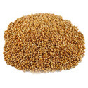 Sorghum Meal Manufacturer Supplier Wholesale Exporter Importer Buyer Trader Retailer