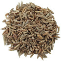 Caraway Seeds Manufacturer Supplier Wholesale Exporter Importer Buyer Trader Retailer