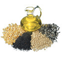 Oil Seeds Manufacturer Supplier Wholesale Exporter Importer Buyer Trader Retailer