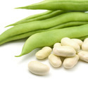 French Bean Seed Manufacturer Supplier Wholesale Exporter Importer Buyer Trader Retailer