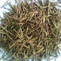 Bamboo Seeds Manufacturer Supplier Wholesale Exporter Importer Buyer Trader Retailer