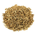 Cumin Seeds Manufacturer Supplier Wholesale Exporter Importer Buyer Trader Retailer