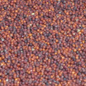 Finger Millet Seeds Manufacturer Supplier Wholesale Exporter Importer Buyer Trader Retailer