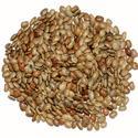 Dolichos Seed Manufacturer Supplier Wholesale Exporter Importer Buyer Trader Retailer