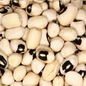 Cowpea Seed Manufacturer Supplier Wholesale Exporter Importer Buyer Trader Retailer