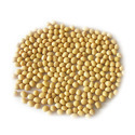 Soybean Seeds Manufacturer Supplier Wholesale Exporter Importer Buyer Trader Retailer