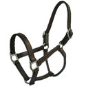 Horse Halters Manufacturer Supplier Wholesale Exporter Importer Buyer Trader Retailer