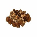 Pongamia Seed Manufacturer Supplier Wholesale Exporter Importer Buyer Trader Retailer