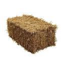 Paddy Straws Manufacturer Supplier Wholesale Exporter Importer Buyer Trader Retailer