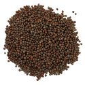 Brown Mustard Seeds Manufacturer Supplier Wholesale Exporter Importer Buyer Trader Retailer