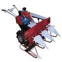 Rice Cutting Machine Manufacturer Supplier Wholesale Exporter Importer Buyer Trader Retailer