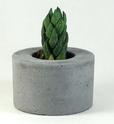 Cement Pots Manufacturer Supplier Wholesale Exporter Importer Buyer Trader Retailer