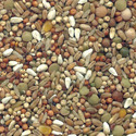 Pigeon Feed Manufacturer Supplier Wholesale Exporter Importer Buyer Trader Retailer