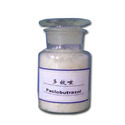 Paclobutrazol Manufacturer Supplier Wholesale Exporter Importer Buyer Trader Retailer