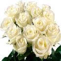 White Roses Manufacturer Supplier Wholesale Exporter Importer Buyer Trader Retailer