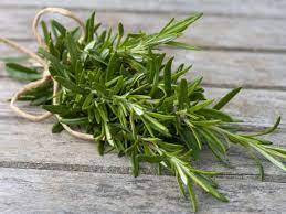 Rosemary Leaf Manufacturer Supplier Wholesale Exporter Importer Buyer Trader Retailer