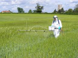 Agricultural Spray Adjuvants Manufacturer Supplier Wholesale Exporter Importer Buyer Trader Retailer