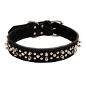 Spiked Collar Manufacturer Supplier Wholesale Exporter Importer Buyer Trader Retailer