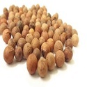 Sandalwood Seed Manufacturer Supplier Wholesale Exporter Importer Buyer Trader Retailer