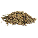 Fennel Seed Manufacturer Supplier Wholesale Exporter Importer Buyer Trader Retailer