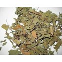 Dried Tulsi Leaves Manufacturer Supplier Wholesale Exporter Importer Buyer Trader Retailer