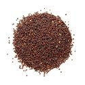 Red Mustard Seeds Manufacturer Supplier Wholesale Exporter Importer Buyer Trader Retailer