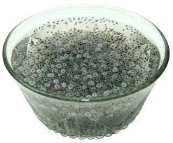 Basil Seeds Manufacturer Supplier Wholesale Exporter Importer Buyer Trader Retailer