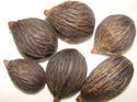 Palm Seeds Manufacturer Supplier Wholesale Exporter Importer Buyer Trader Retailer