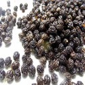 Papaya Seed Manufacturer Supplier Wholesale Exporter Importer Buyer Trader Retailer