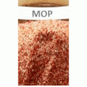 MOP Fertilizer Manufacturer Supplier Wholesale Exporter Importer Buyer Trader Retailer