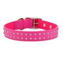 Pet Collars Manufacturer Supplier Wholesale Exporter Importer Buyer Trader Retailer