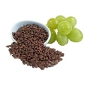 Grape Seed Manufacturer Supplier Wholesale Exporter Importer Buyer Trader Retailer