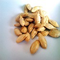 Squash Seed Manufacturer Supplier Wholesale Exporter Importer Buyer Trader Retailer