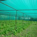 Nursery Shade Net Manufacturer Supplier Wholesale Exporter Importer Buyer Trader Retailer